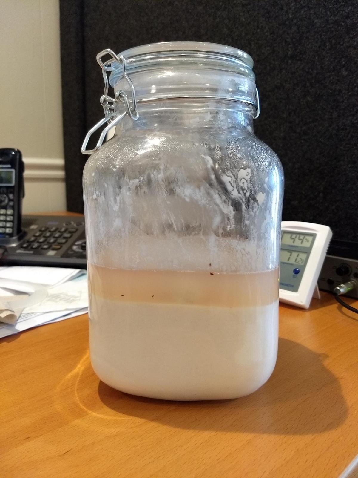 Nancy Silverton Grape Starter Does This Look Right? The Fresh Loaf